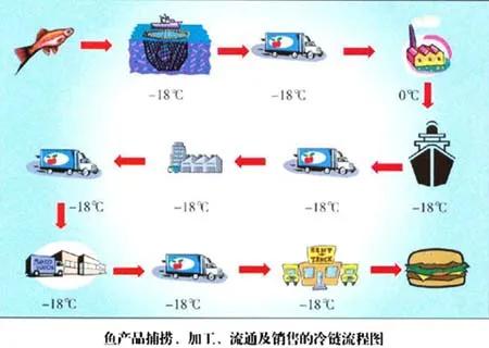被低估的水產(chǎn)品冷鏈大市場(chǎng),冷鏈企業(yè)不容忽視